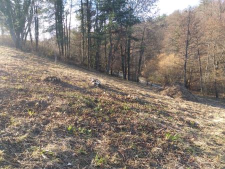 Delovna akcija Soncki 21